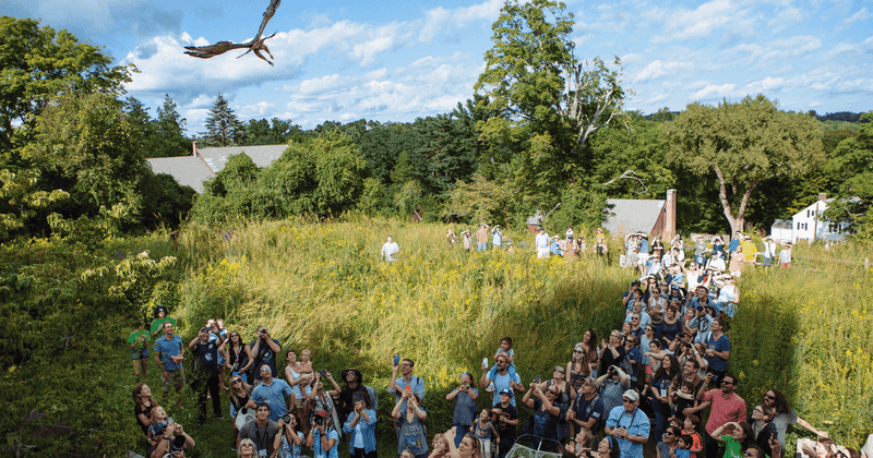 Quaker Ridge And Its Legendary Broad-Winged Days