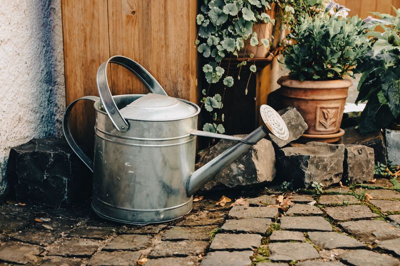 Quick Drainage Fixes You Can Do Today Quick Drainage Fixes You Can Do Today
