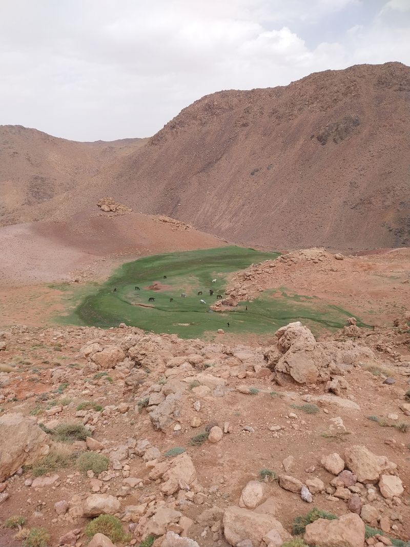 Quiet, Protected Ground With Few Human Interruptions