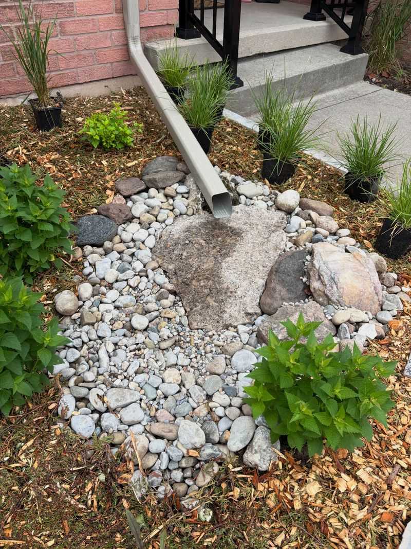Rain Gardens Catch Runoff Before It Spreads Across The Yard