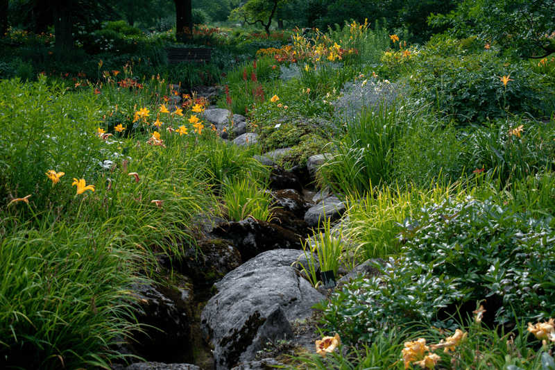 Rain Gardens Solve Soggy Corners And Look Good Doing It Rain Gardens Solve Soggy Corners And Look Good Doing It