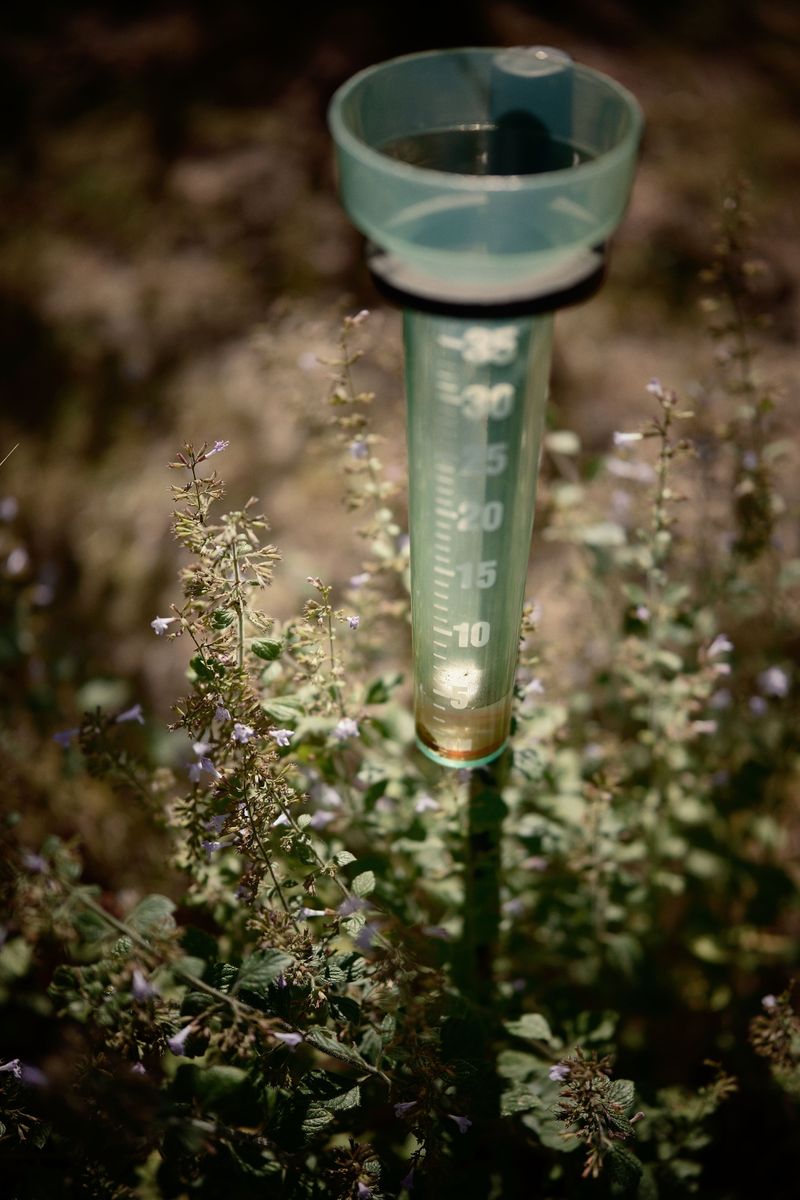 Rain Gauges Turn Guessing Into Knowing Rain Gauges Turn Guessing Into Knowing