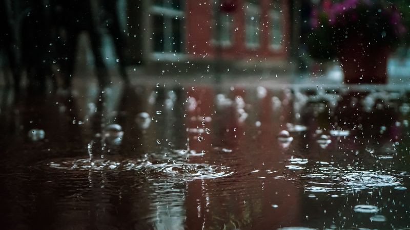 Rainfall Arrived At The Right Moments