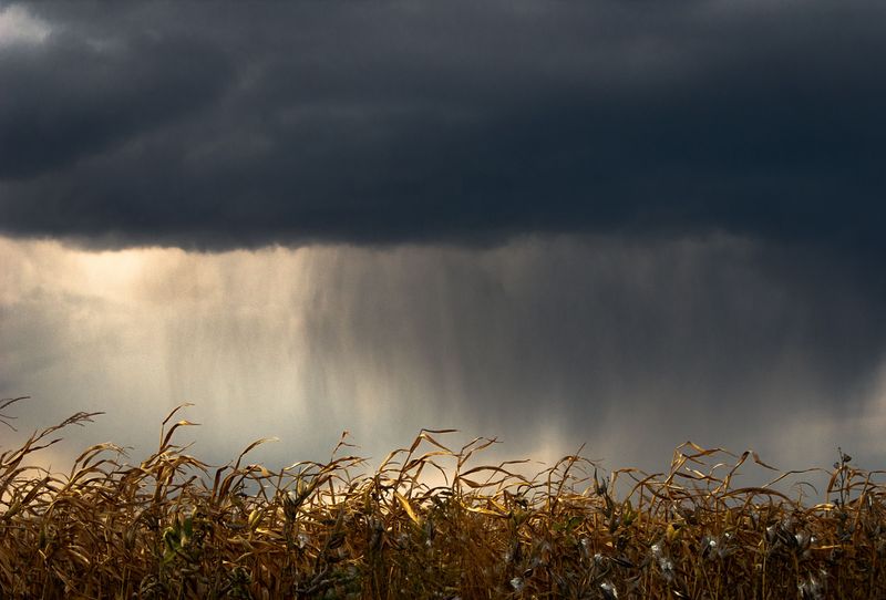 Rainfall Deficits Have Quietly Stacked Up Since Midsummer