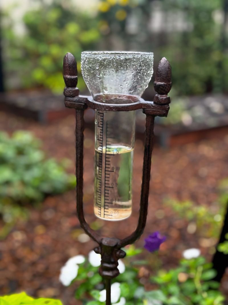 Rainfall Timing Changes The Whole Equation