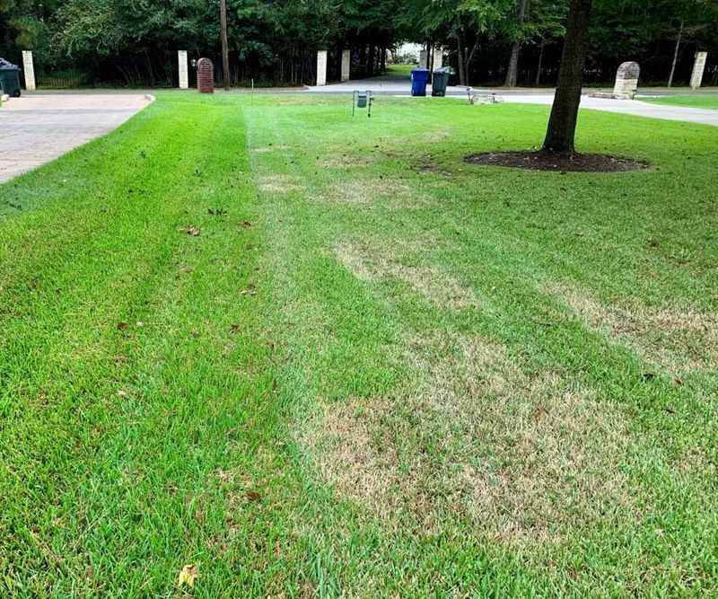 Raise The Mower For Fall Recovery