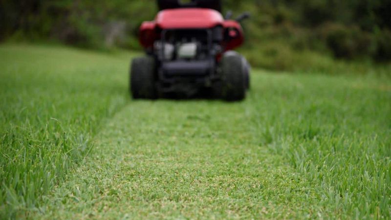 Raise The Mower Height For Better Recovery