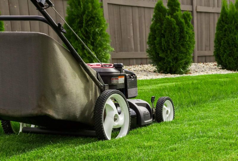 Raise Your Mower To Protect The Crown