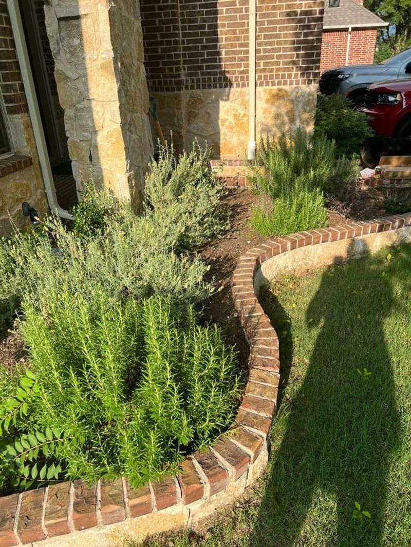 Raised Beds Solve It Before It Starts
