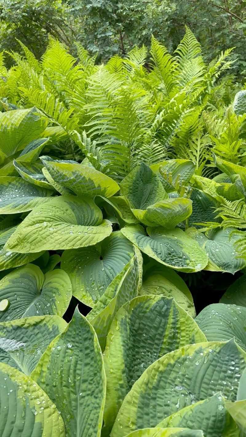 Rake Away The Faded Foliage