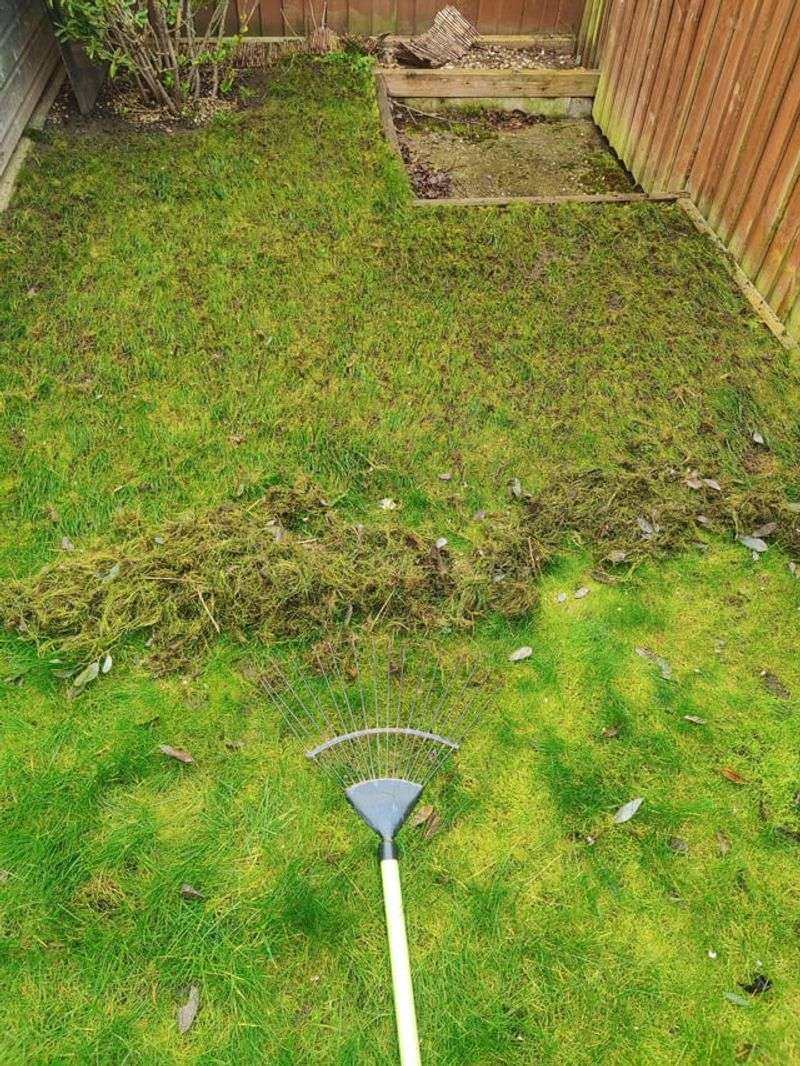 Rake Up Every Last Leaf Before It Mats Rake Up Every Last Leaf Before It Mats