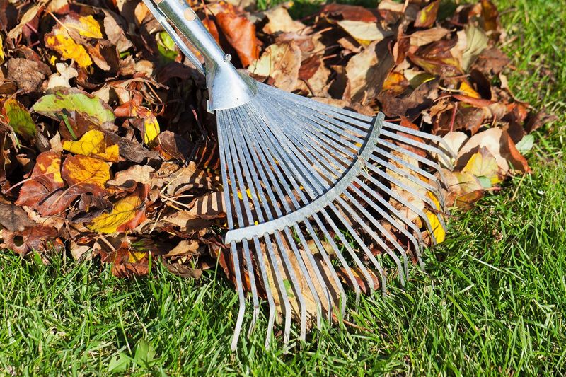 Rakes, Blowers, And Tillers Can Expose Or Injure Them Rakes, Blowers, And Tillers Can Expose Or Injure Them