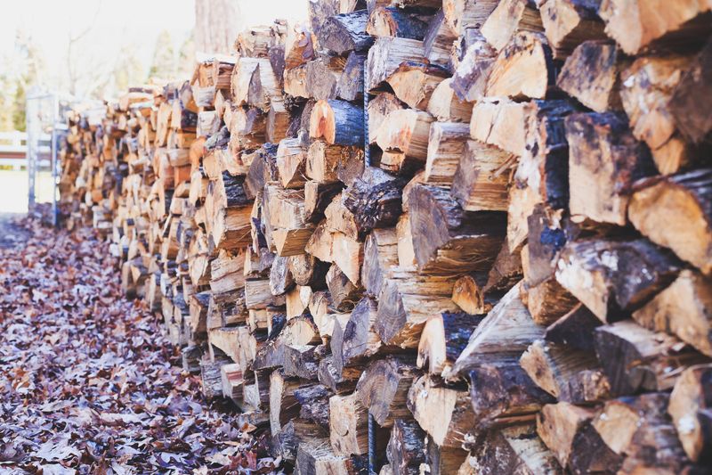 Raking, Blowing, And Firewood Stacking Stir Them Loose