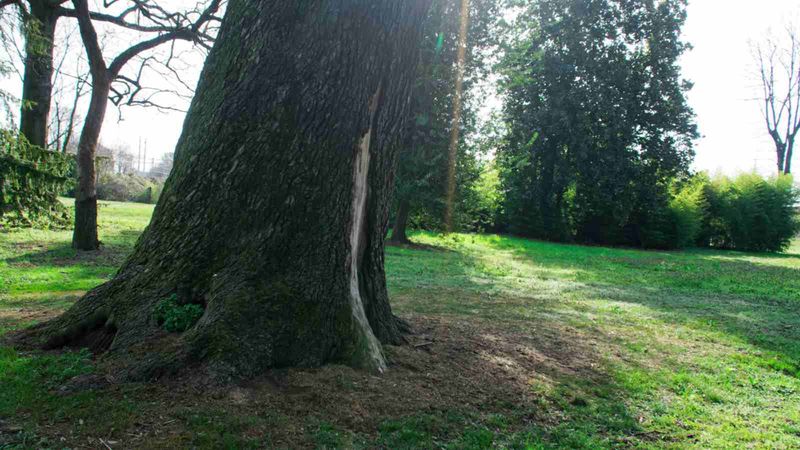 Read the site beyond its shade Read the site beyond its shade