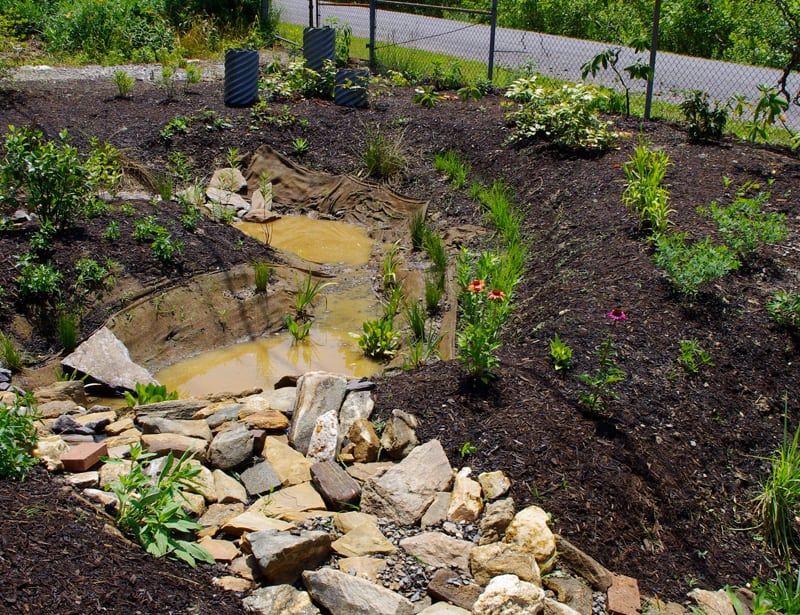 Read the yard before redirecting water