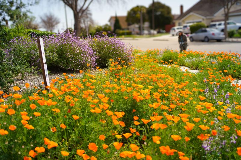 Rebate Programs Make The Switch Easier