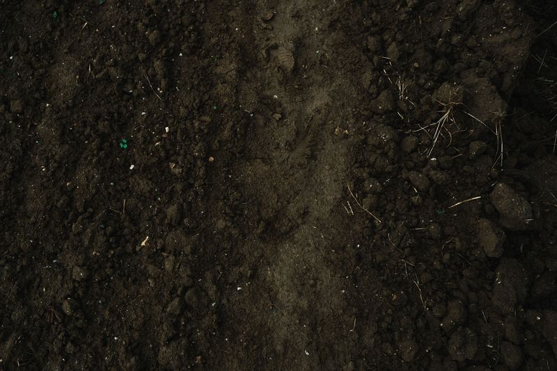 Rebuild The Soil Beneath It All
