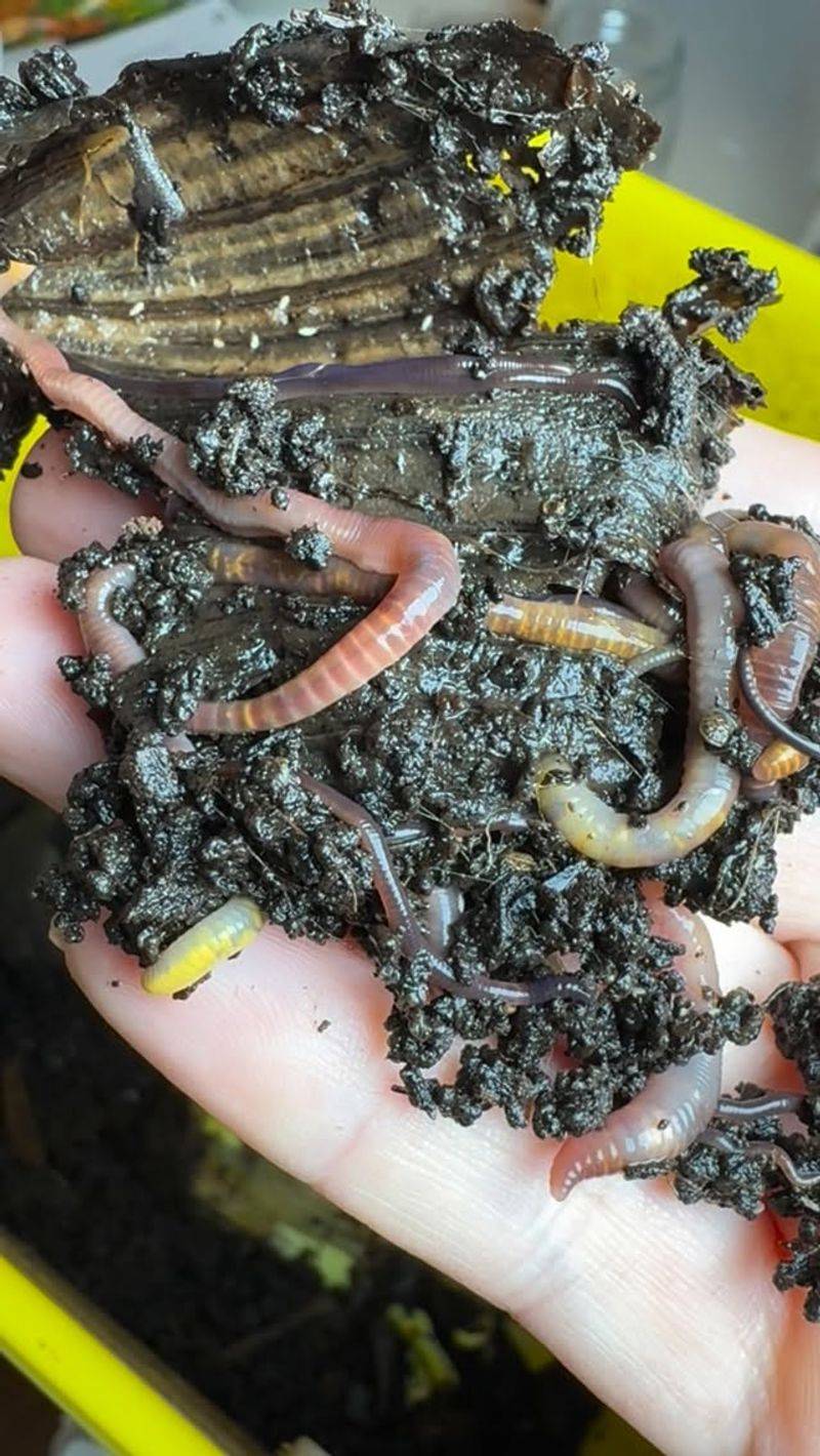 Rebuilding Structure In Soil That Turned Crumbly