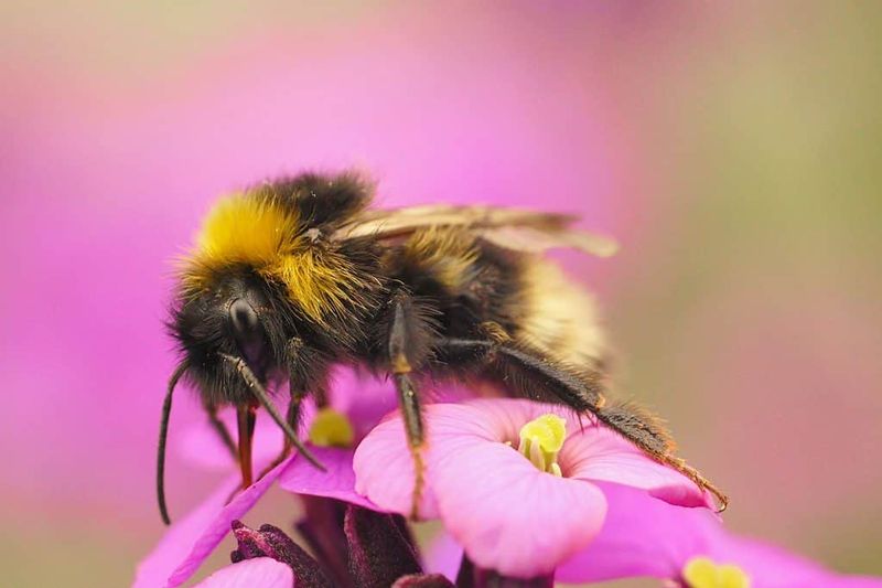 Recognize The Signs Of Seasonal Change