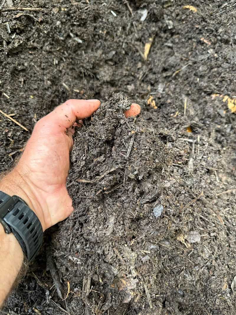 Recognizing Compost That's Ready To Use