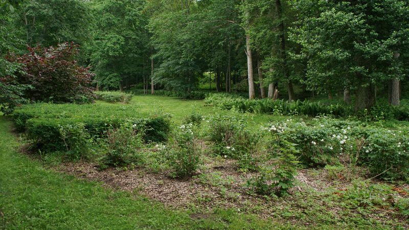 Recovery Odds For Shrubs, Lawns, And Perennials Recovery Odds For Shrubs, Lawns, And Perennials
