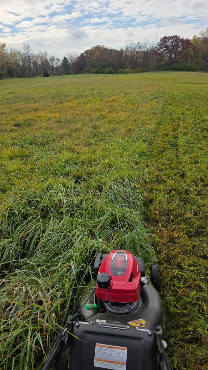Recovery Steps And Smarter Mowing Habits