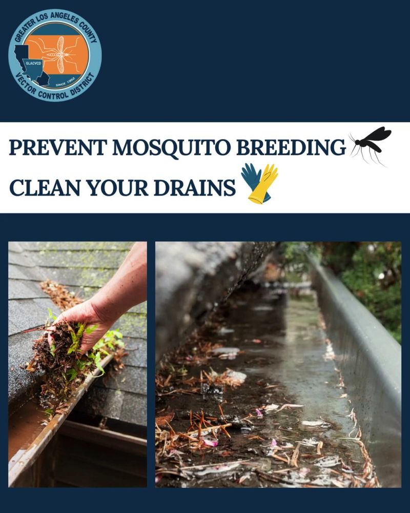 Reduce mosquito habitat before reaching for a plant-based remedy Reduce mosquito habitat before reaching for a plant-based remedy