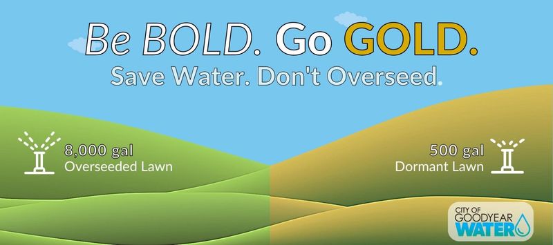 Reduce turf water use without replacing every inch Reduce turf water use without replacing every inch