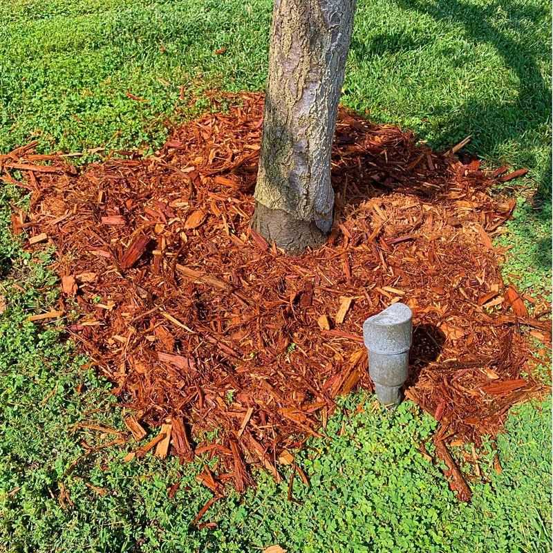 Refresh Mulch And Feed The Soil For Winter