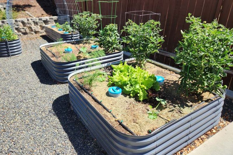 Refresh Soil In Areas Hit By Runoff