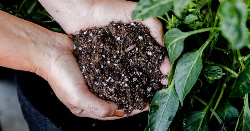 Refresh Your Soil With Compost Refresh Your Soil With Compost
