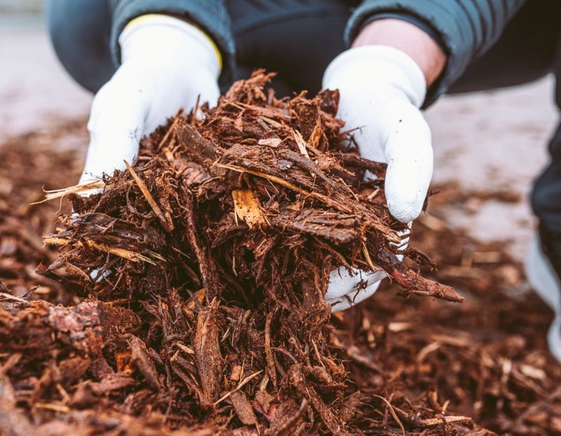 Refreshing Mulch Without Removing Old Layers
