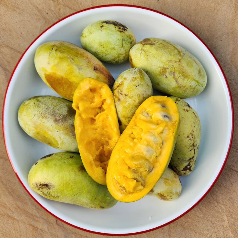 Refrigerate Fully Ripe Pawpaws