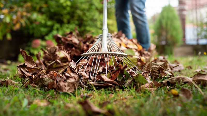 Remove Outdoor Clutter Around The Garden