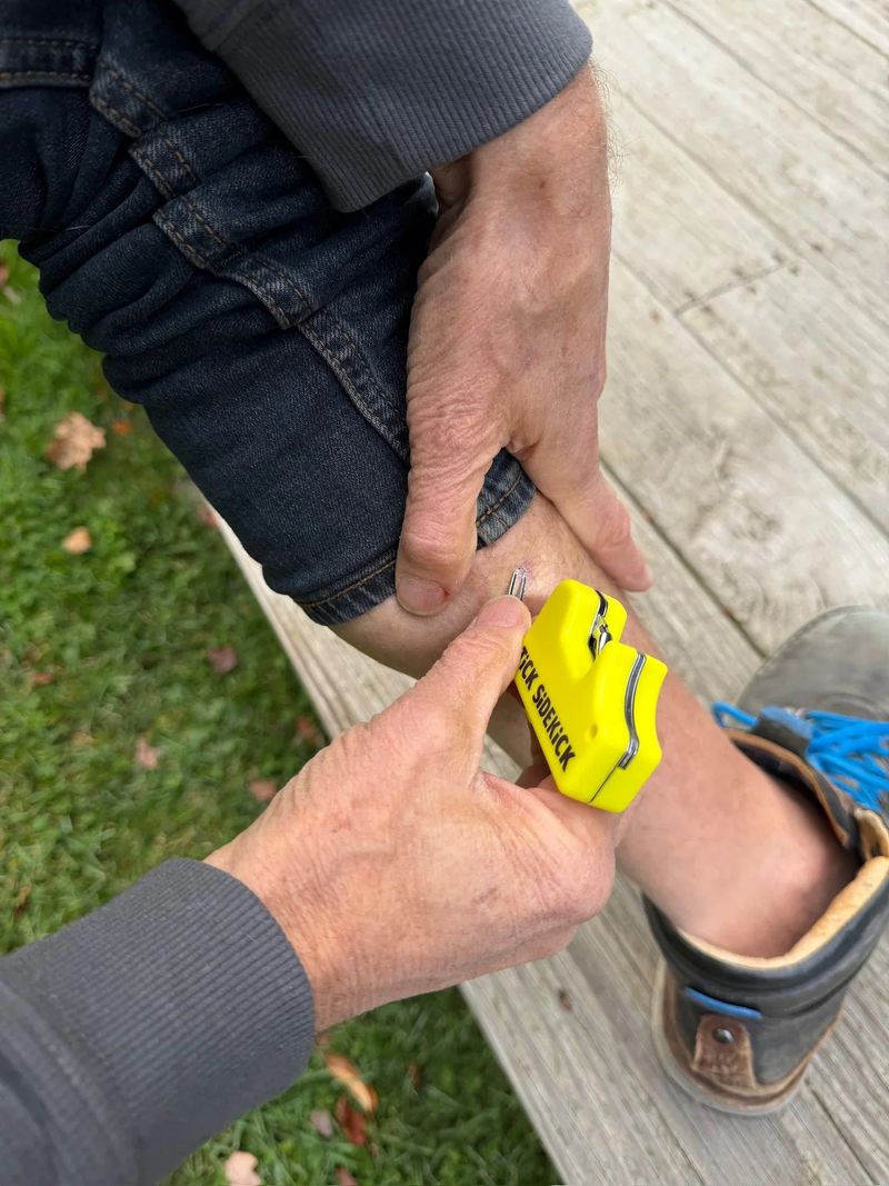 Remove Ticks Quickly And Safely Remove Ticks Quickly And Safely