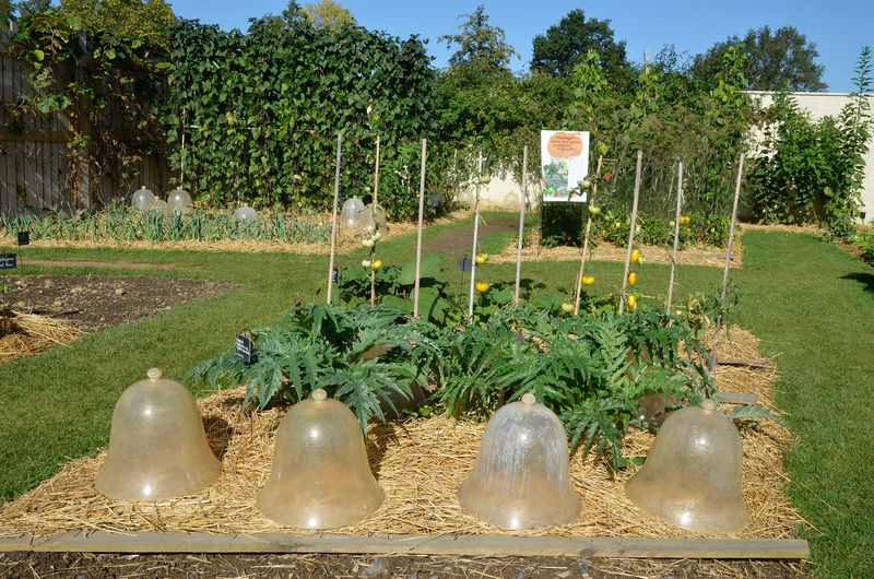 Remove the cover when warmth or plant growth makes it unsuitable Remove the cover when warmth or plant growth makes it unsuitable