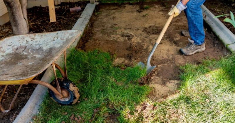 Remove the lawn without stripping away healthy soil
