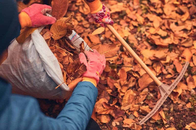Removing Leaf Litter From Pennsylvania Flower Beds