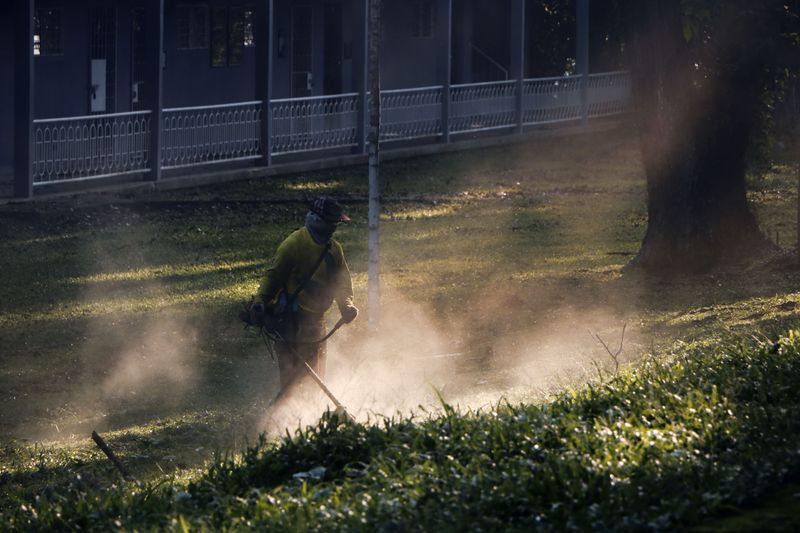 Renovation Dust And Yard Work Stir Them Up Renovation Dust And Yard Work Stir Them Up