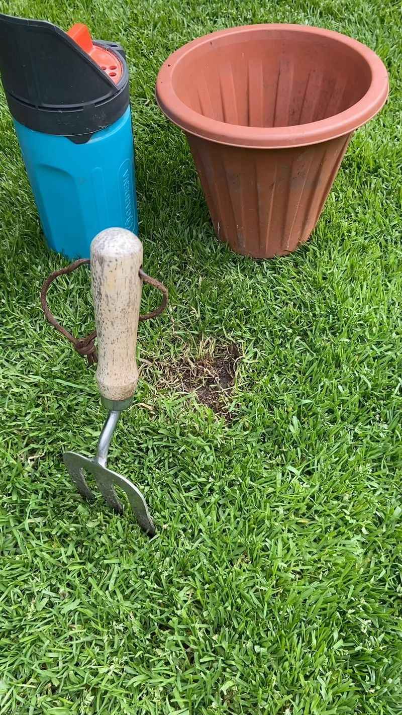 Repair Thin Or Damaged Areas