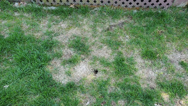 Repair Thin Spots Before Cold Weather Arrives Repair Thin Spots Before Cold Weather Arrives