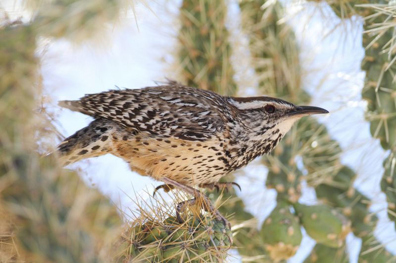 Repeated visits usually point to nearby territory Repeated visits usually point to nearby territory