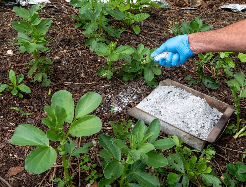 Replace Only The Nutrients The Soil Needs Replace Only The Nutrients The Soil Needs