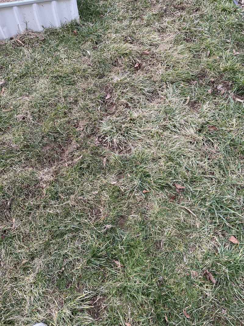 Reseeding Will Not Fix Compacted Soil Reseeding Will Not Fix Compacted Soil