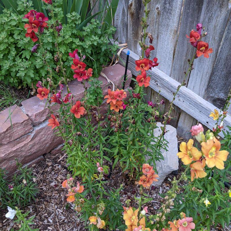 Reset Your Watering Routine Reset Your Watering Routine