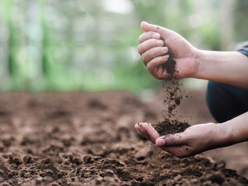 Richer, Healthier Soil Gets Built Season By Season Richer, Healthier Soil Gets Built Season By Season