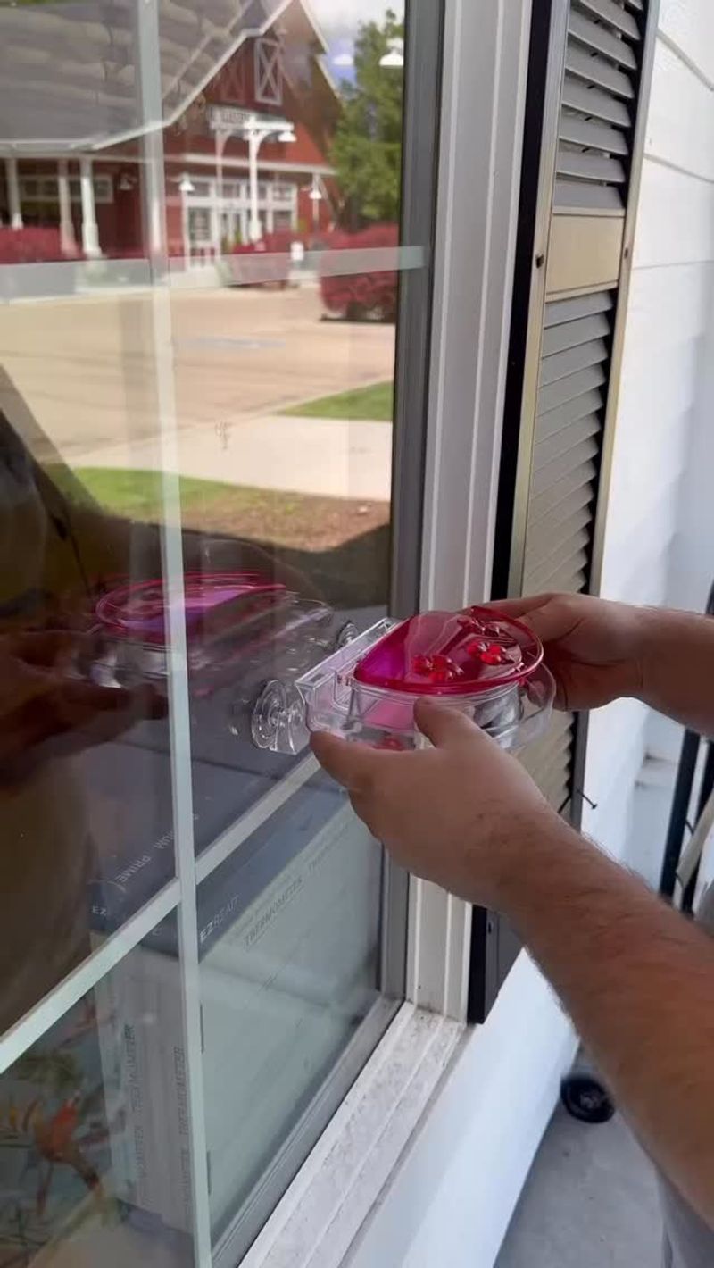 Right Next To A Window