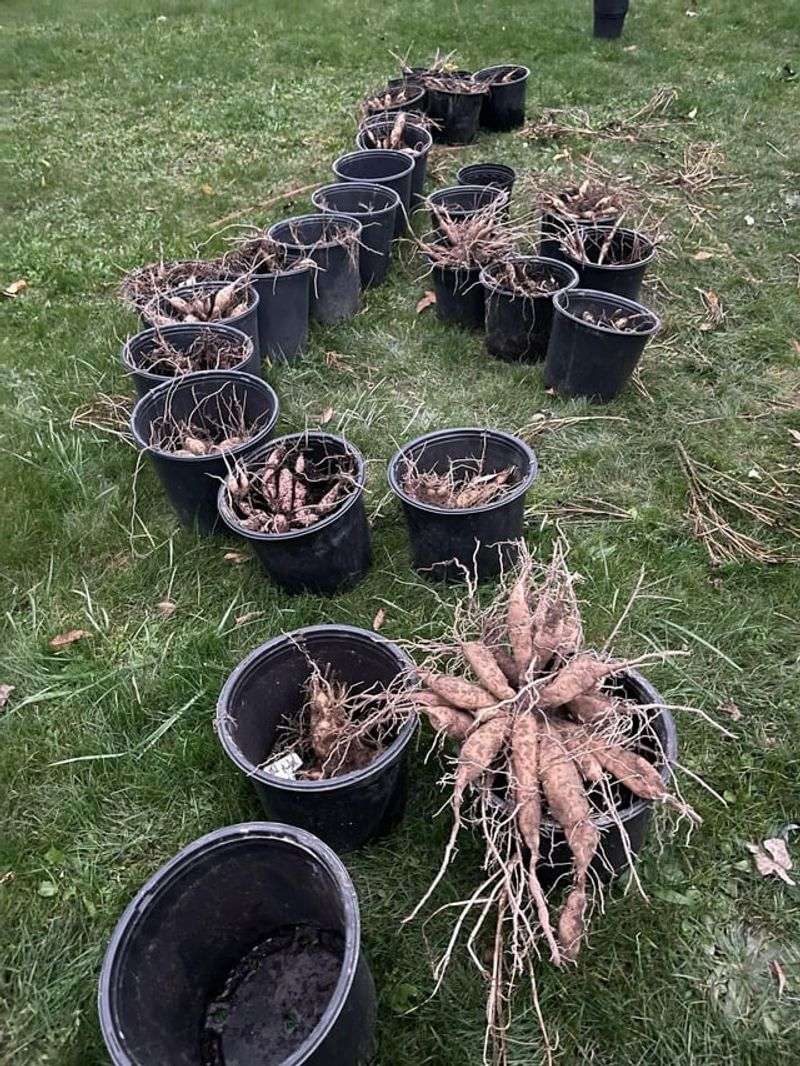 Rinse Off The Mud And Check For Trouble