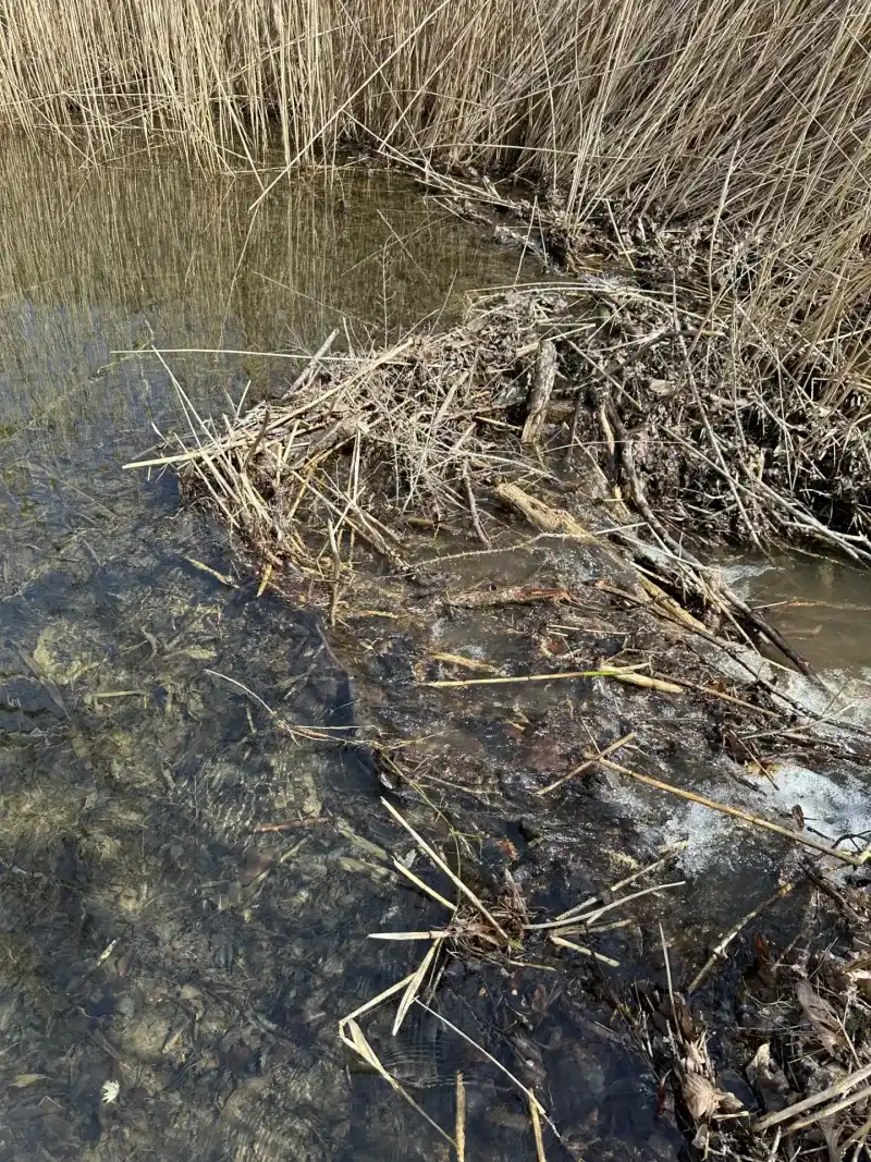 Rising Water Can Reach Areas That Usually Stay Dry