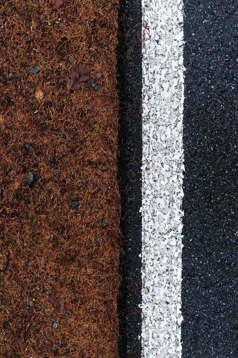 Road Salt Residue Lingers In The Soil